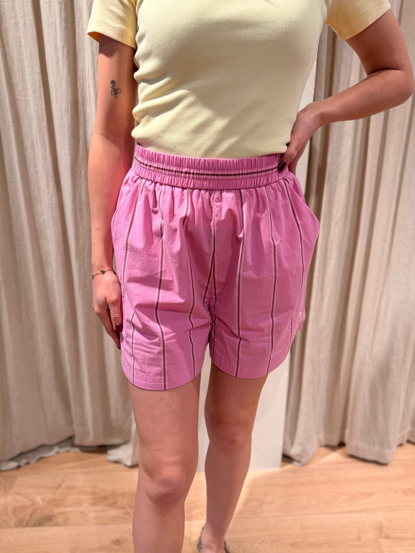 Short Eurybia