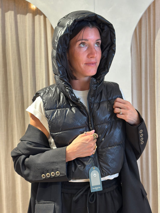 Capuche Phoebe
