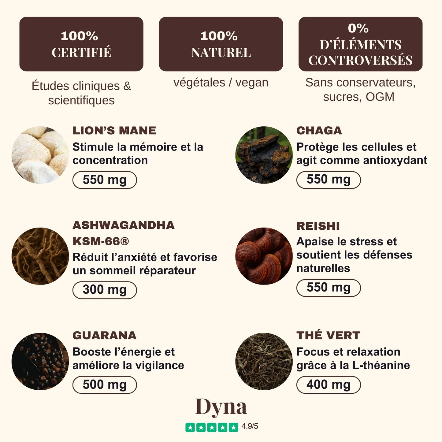 DYNA - super café 15 doses