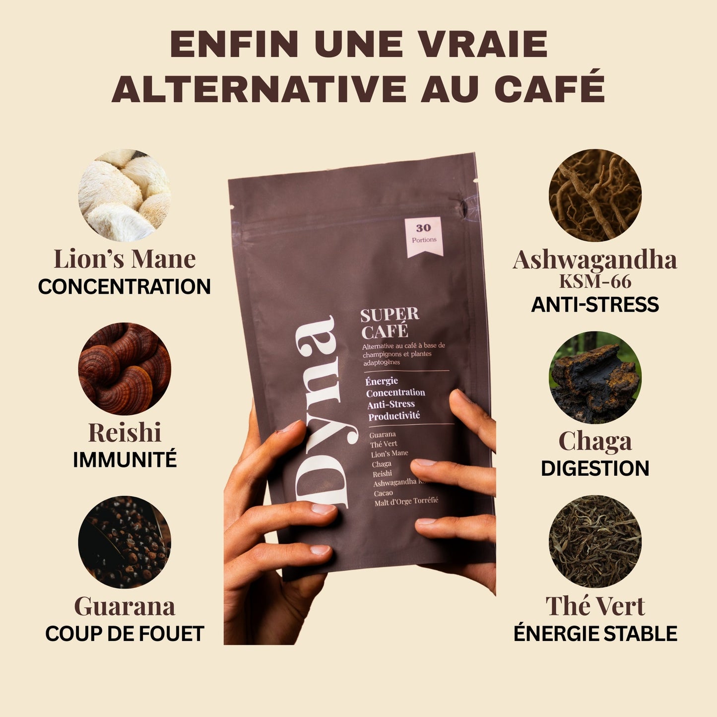 DYNA - super café 15 doses