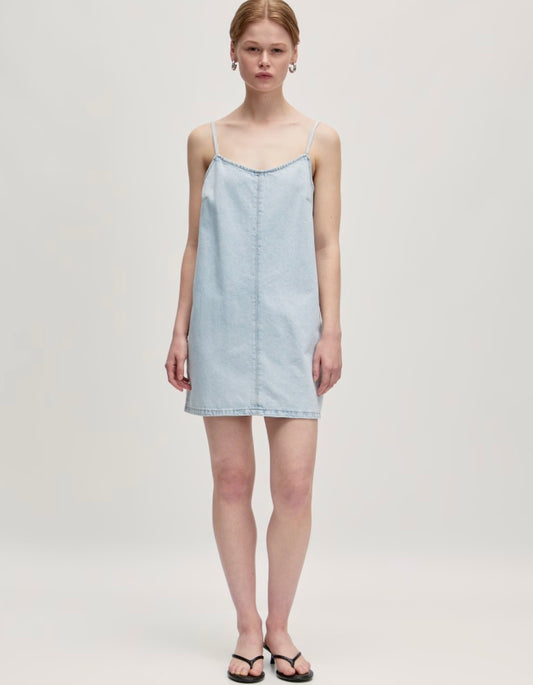 Nanja denim dress